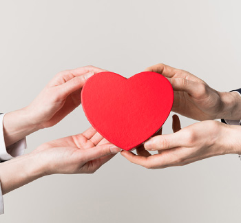 お知らせの内容が入ります