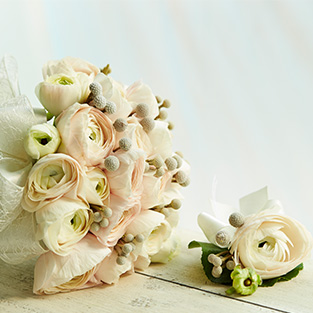 ブログタイトル